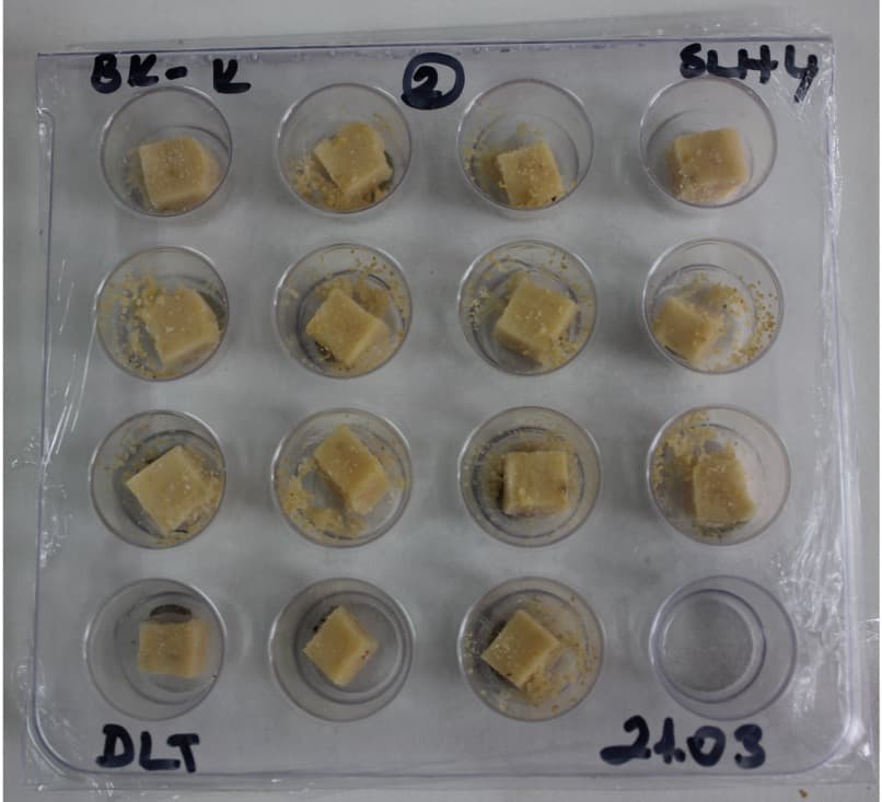 Diyet inkorporasyon bioassay görseli 2