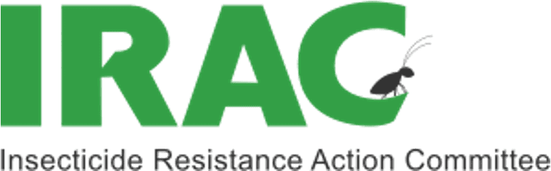 Günümüz: İleri istatistik, otomasyon ve yüksek verimlilik görseli