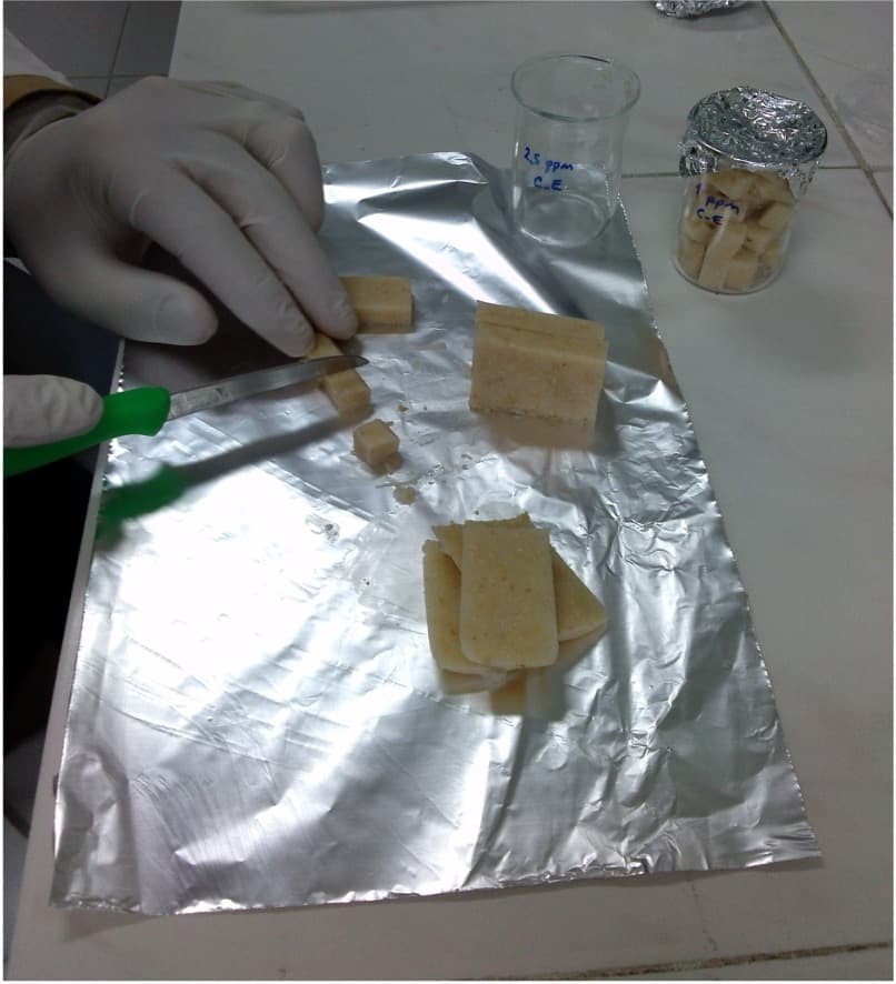 Diyet inkorporasyon bioassay görseli 1